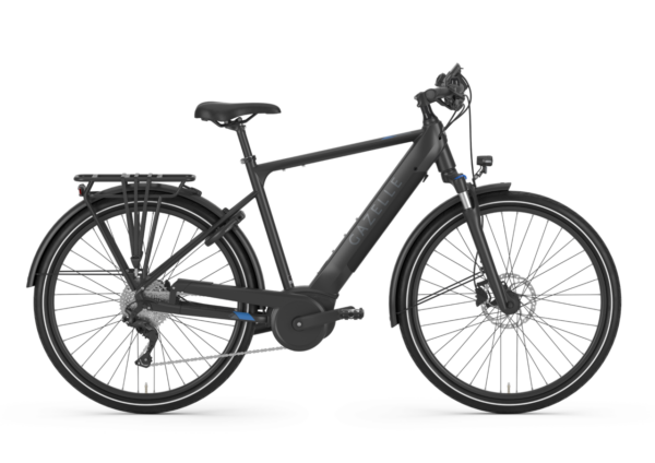 Gazelle Medeo T10