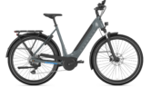 GAZELLE Ultimate T10 (Low) GAZELLE Ultimate T10 (Low)