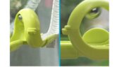 620981 Gecko Run Looping 04 620981 Gecko Run Looping 04