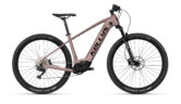 rose gold KELLY Tayen R50
