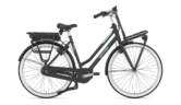 GAZELLE Miss Grace C7+