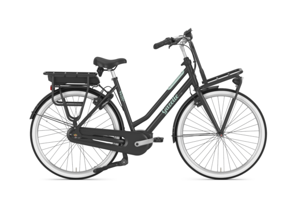 GAZELLE Miss Grace C7+