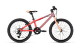 85298_kellystore_26_kiter_30_coral_dream_20_tv_product 85298_kellystore_26_kiter_30_coral_dream_20_tv_product